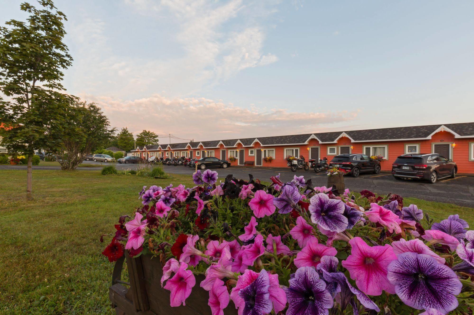 Motel Au Fleuve D'Argent Riviere-du-Loup Luaran gambar